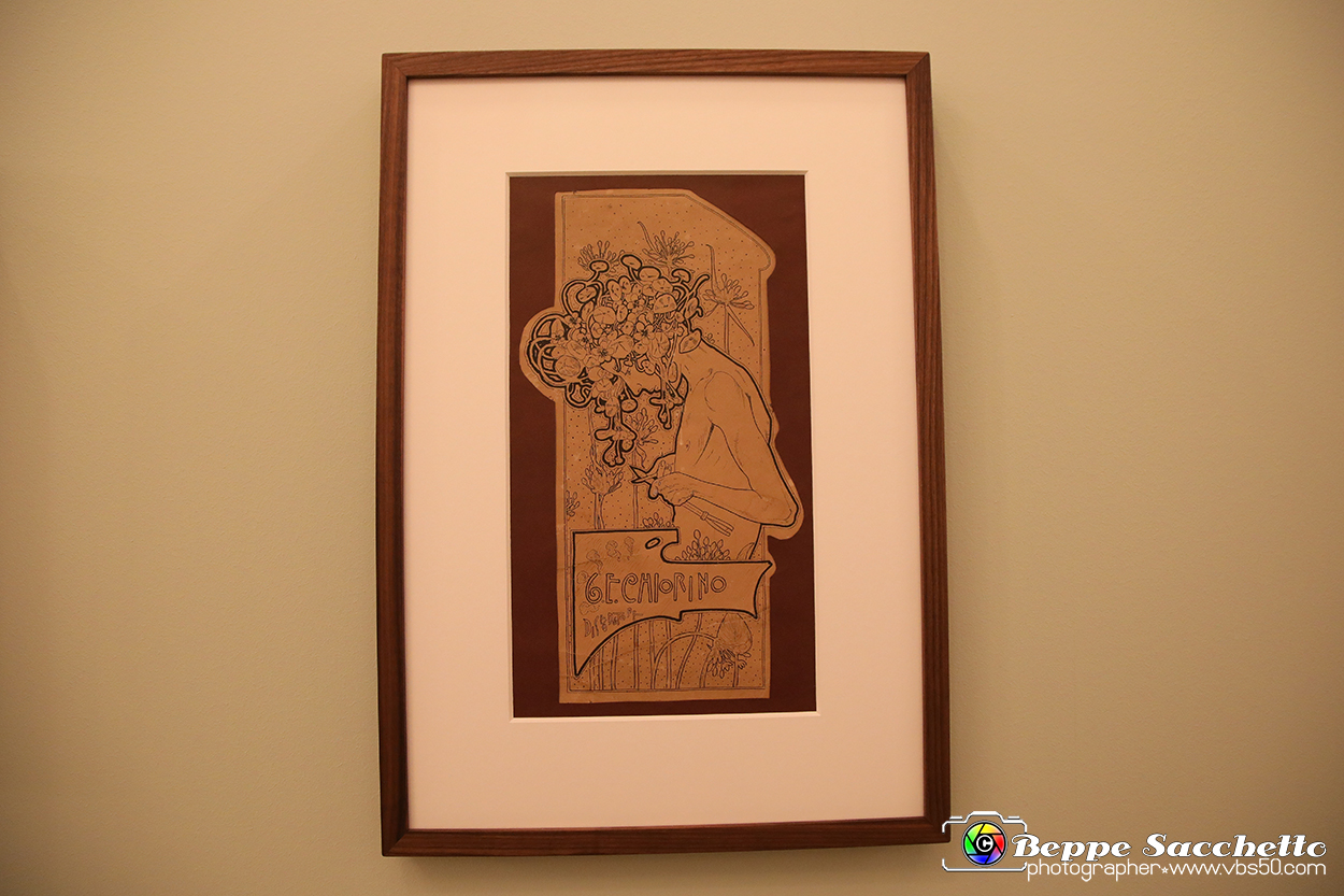 VBS_5028 - Liberty - Torino Capitale.jpg